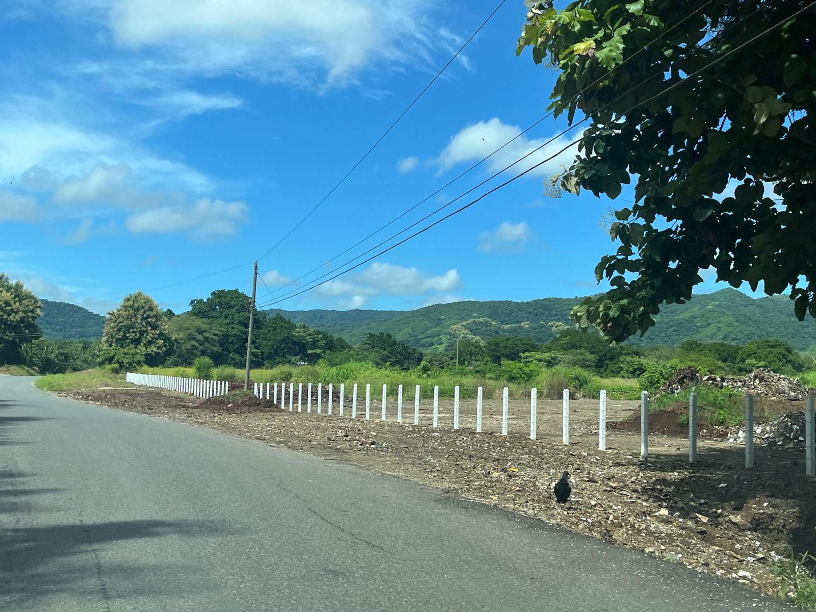 Lote que se había convertido en basurero clandestino en Nicoya ya está limpio y cerrado