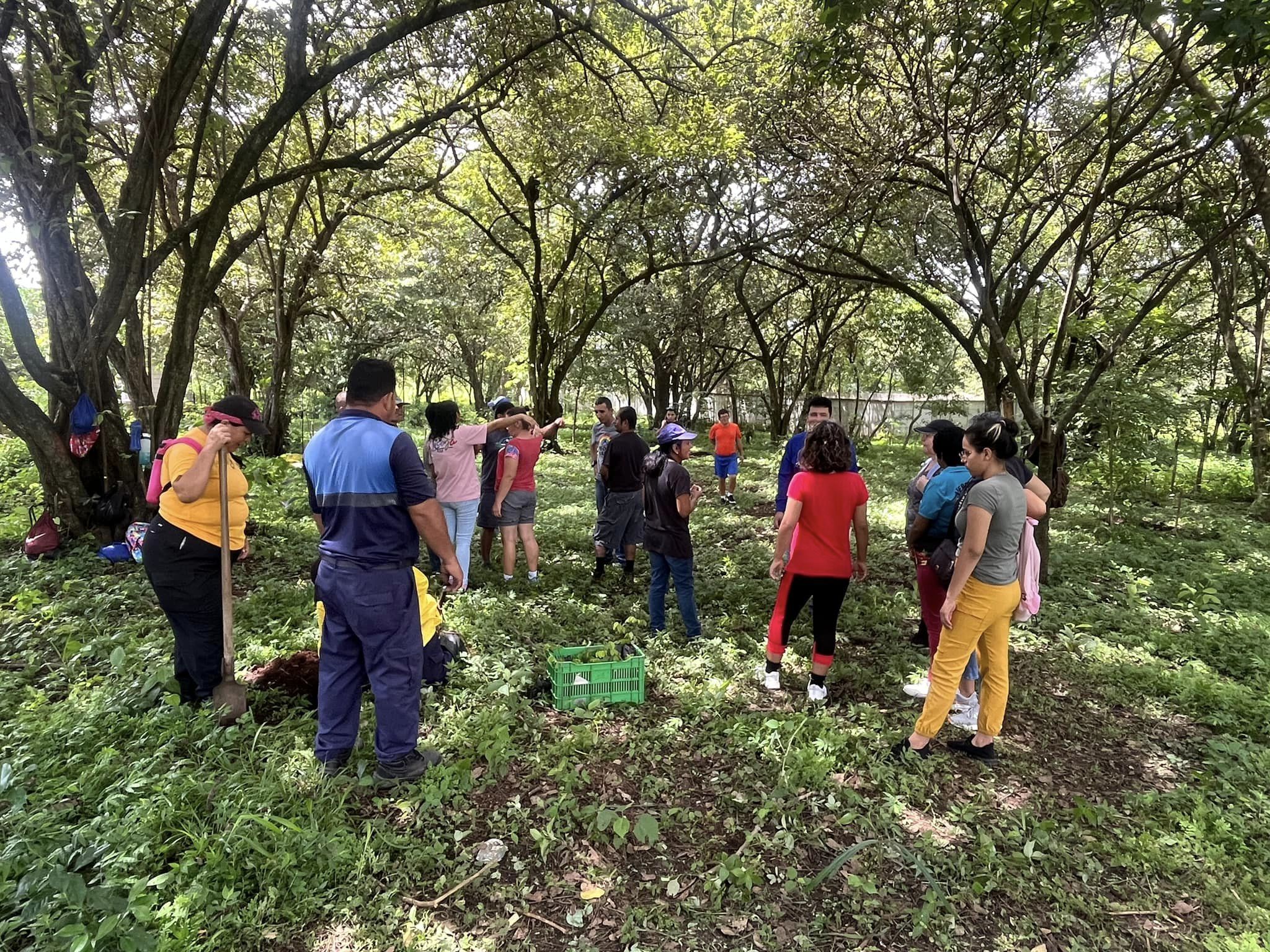 Plan de Compensación forestal de la costrucción del nuevo puente sobre el Río Grande