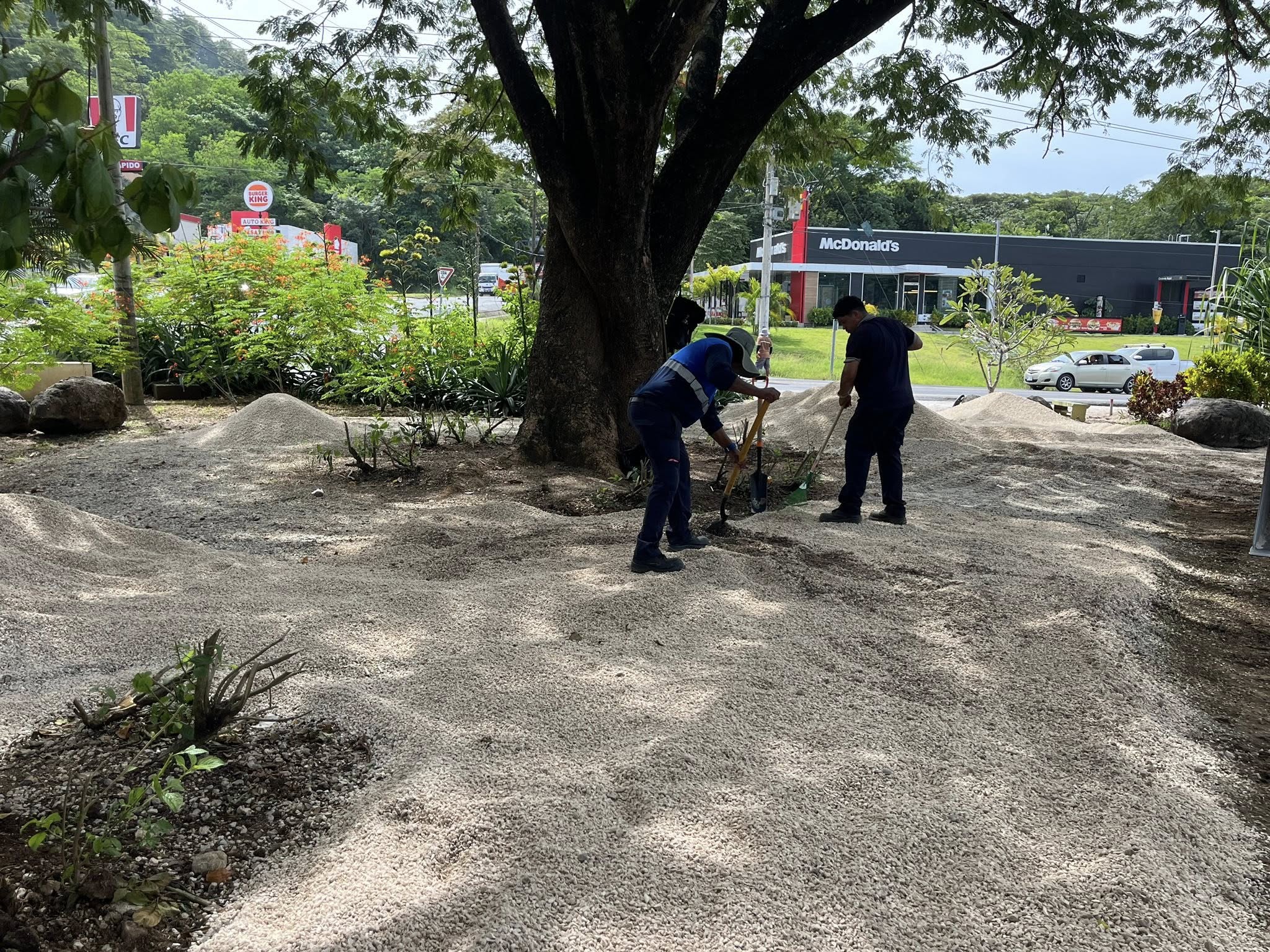 Trabajadores municipales en el jardín del cruce
