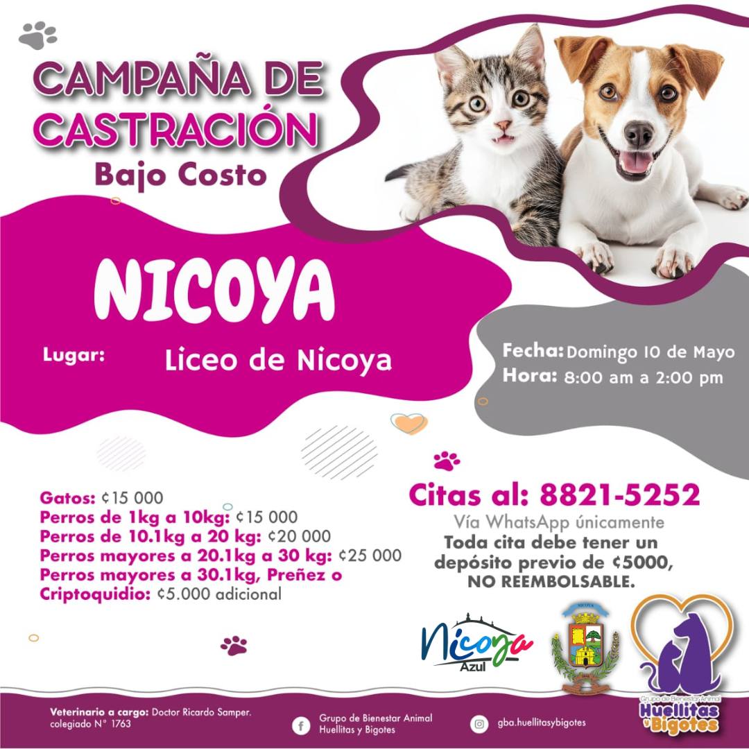 Este domingo habrá una campaña por el bienestar animal en Nicoya
